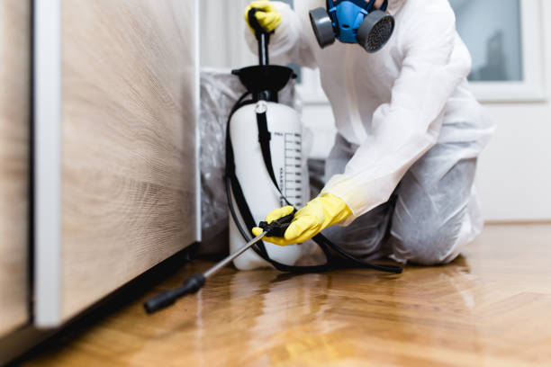 Best Flea Control Services  in Nanawale Estates, HI
