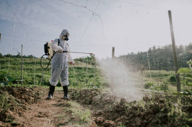 Best Pest Control Treatment  in Nanawale Estates, HI