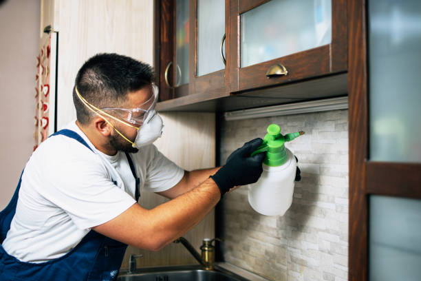 Best Pest Control Near Me  in Nanawale Estates, HI