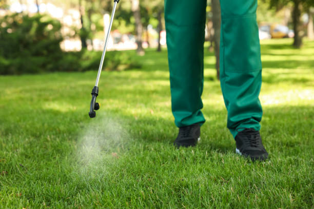 Best Rodent Control Near Me  in Nanawale Estates, HI