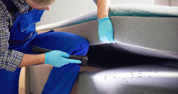 Best Pest Control for Homes  in Nanawale Estates, HI