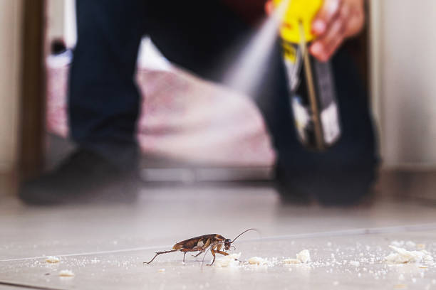 Best Mosquito Control Services  in Nanawale Estates, HI