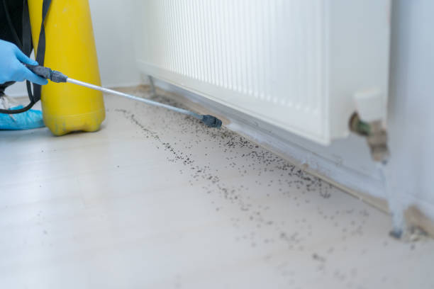 Best Pest Inspection Near Me  in Nanawale Estates, HI