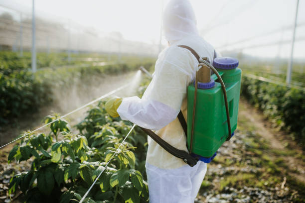 Best Pest Control Near Me in Nanawale Estates, HI